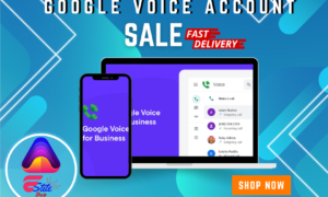 Google Voice Account